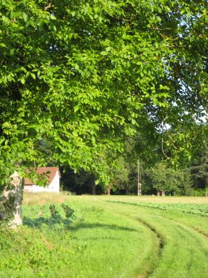 glei neabs am Hotel ka ma wundersch&ouml; neabat da Dordogne lofa...an Traum und s&acute;Weatta passt zu 80% imma!